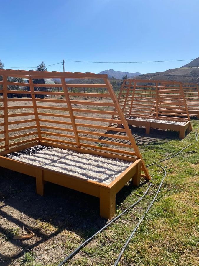 Cabanas Vicuna Cielo De Peralillo - Valle De Elqui Exterior foto
